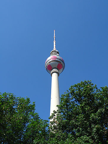 Fernsehturm und Bäume