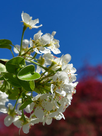Frühling