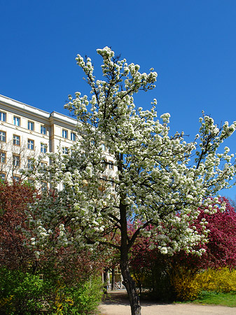 Frühling