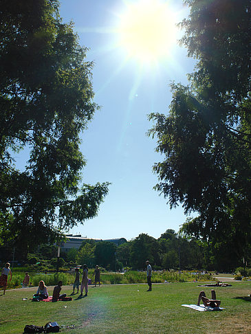 Fotos Planten un Blomen - Wiese am Parksee