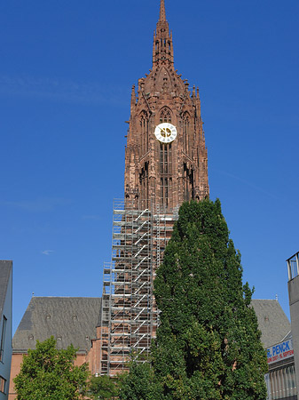 Foto Kaiserdom St. Bartholomäus mit Baum