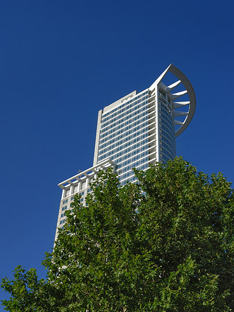 Fotos Westendtower mit Baum | Frankfurt am Main