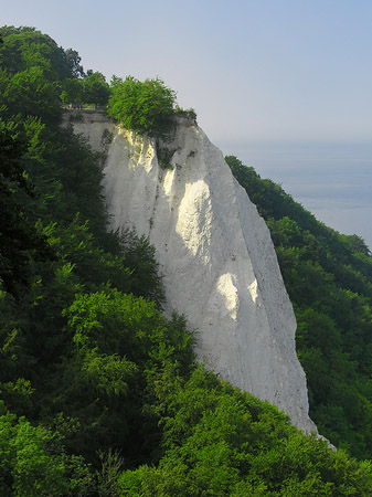 Foto Königsstuhl Kreidefelsen