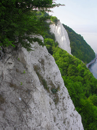 Königsstuhl Kreidefelsen Foto 