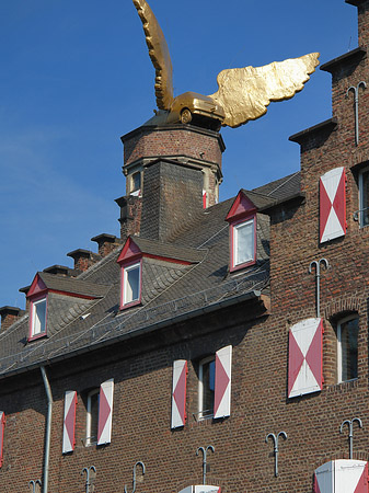 Foto Flügelauto auf Kölnischem Stadtmuseum - Köln