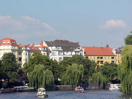 Trauerweiden an der Spree