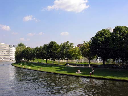 Foto Wiese an der Spree
