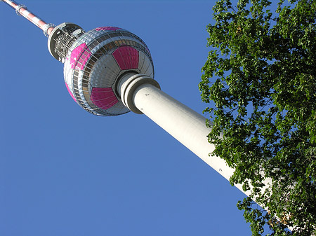 Fotos Fernsehturm und Bäume | Berlin
