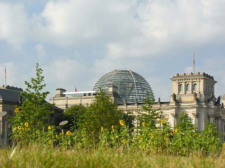 Reichstag Fotos