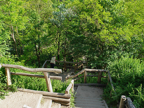 Foto Treppe auf den Drachenfliegerberg - Berlin