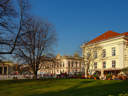 Opernpalais Foto 