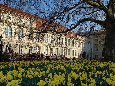 Schinkelklause
