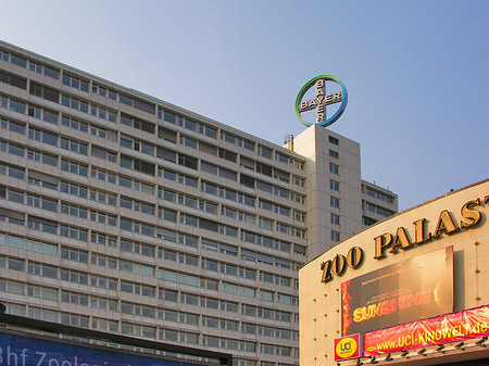 Zoo Palast Fotos
