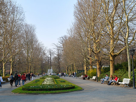 Eingang zum Zoo Foto 