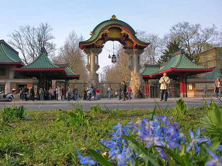 Fotos Eingang mit Wiese | Berlin