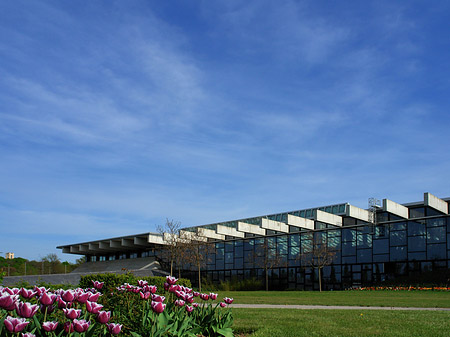 Bundesgartenschau Foto 