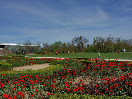 Fotos Bundesgartenschau | Potsdam