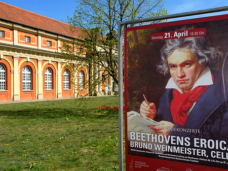 Beethoven Plakat Foto 