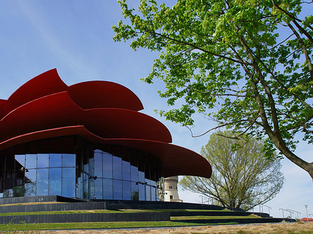 Foto Dach des Theaters