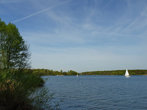 Havel Foto 