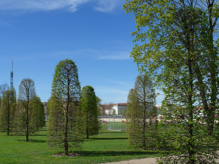 Spielwiese Fotos