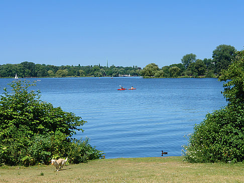 Foto Schöne Aussicht - Hamburg