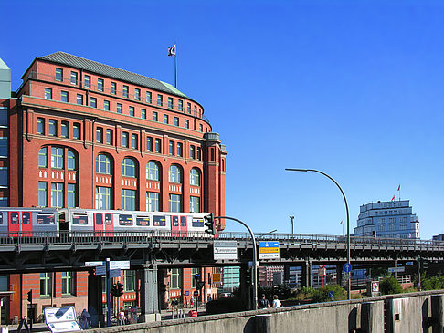 Baumwall Fotos