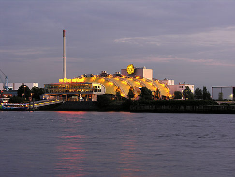 Fotos König der Löwen | Hamburg