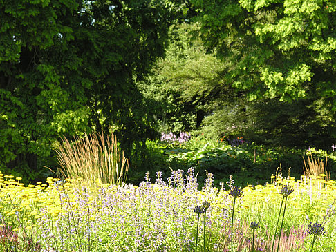 Planten un Blomen - Gärten Fotos