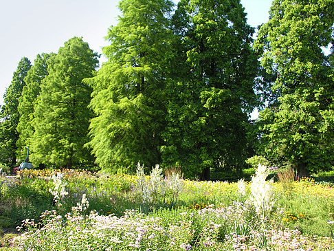 Fotos Planten un Blomen - Gärten | Hamburg