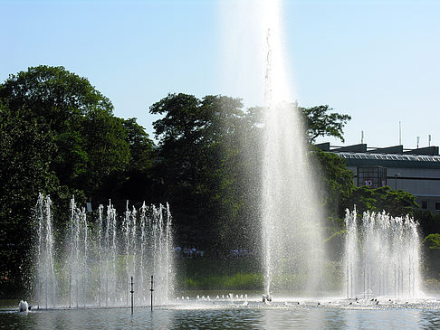 Planten un Blomen - Springbrunnen Foto 