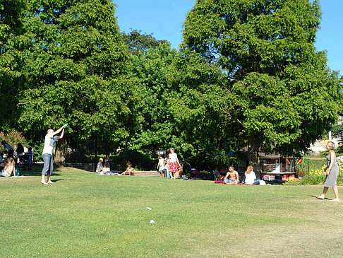 Fotos Planten un Blomen - Wiese am Parksee | Hamburg