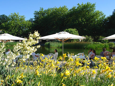 Planten un Blomen - Wiese am Parksee Foto 