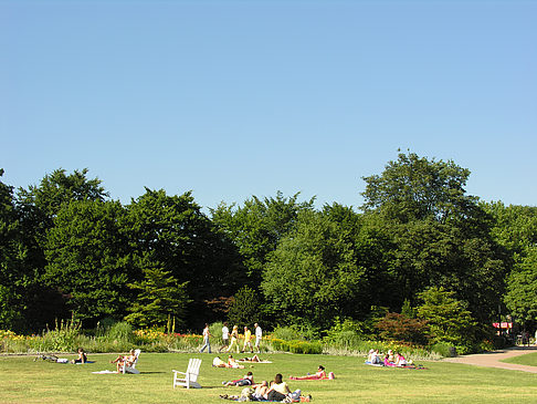 Foto Planten un Blomen - Wiese am Parksee