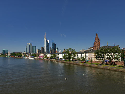 Blick über den Main