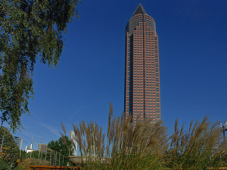 Messeturm mit Wiese