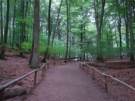 Kreidefelsen Wanderweg Foto 