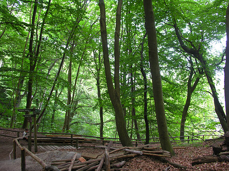 Kreidefelsen Wanderweg Foto 