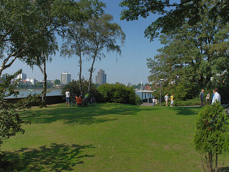 Foto Rheinpark - Köln