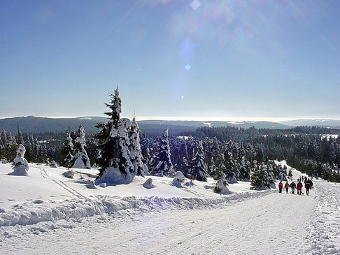 Fotos Brockenwanderung
