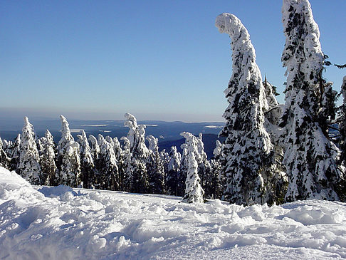 Brockenwanderung Foto 