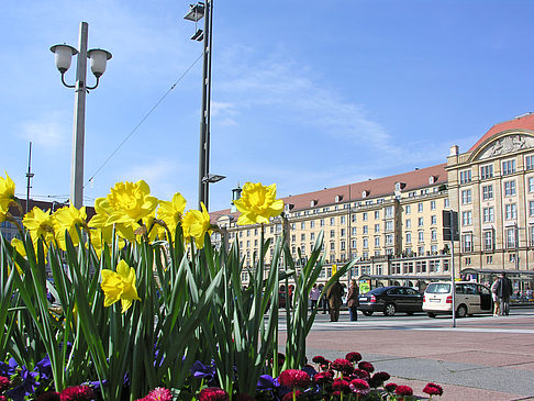 Foto Altmarkt