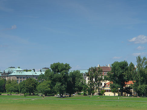 Elbufer